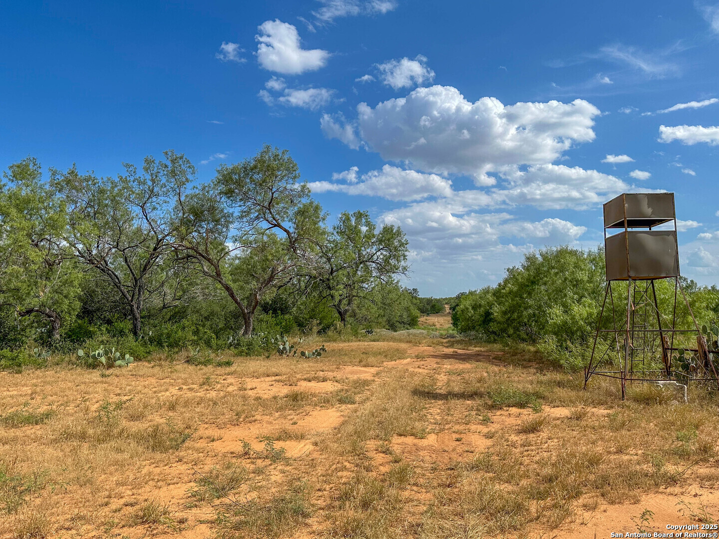 6451 Bluntzer Road Jourdanton, TX 78026 - Photo 50 of 53