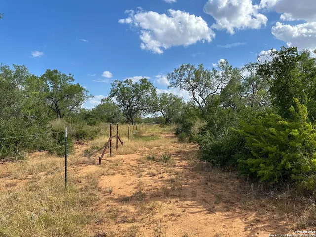 $885,000 | 6451 Bluntzer Road, Jourdanton, TX 78026