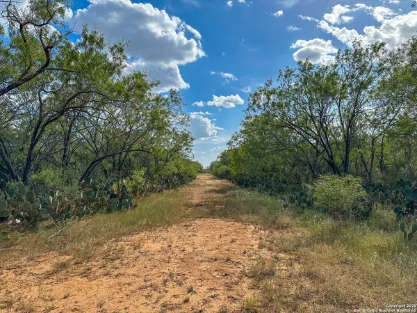 $849,000 | 6451 Bluntzer Road, Jourdanton, TX 78026