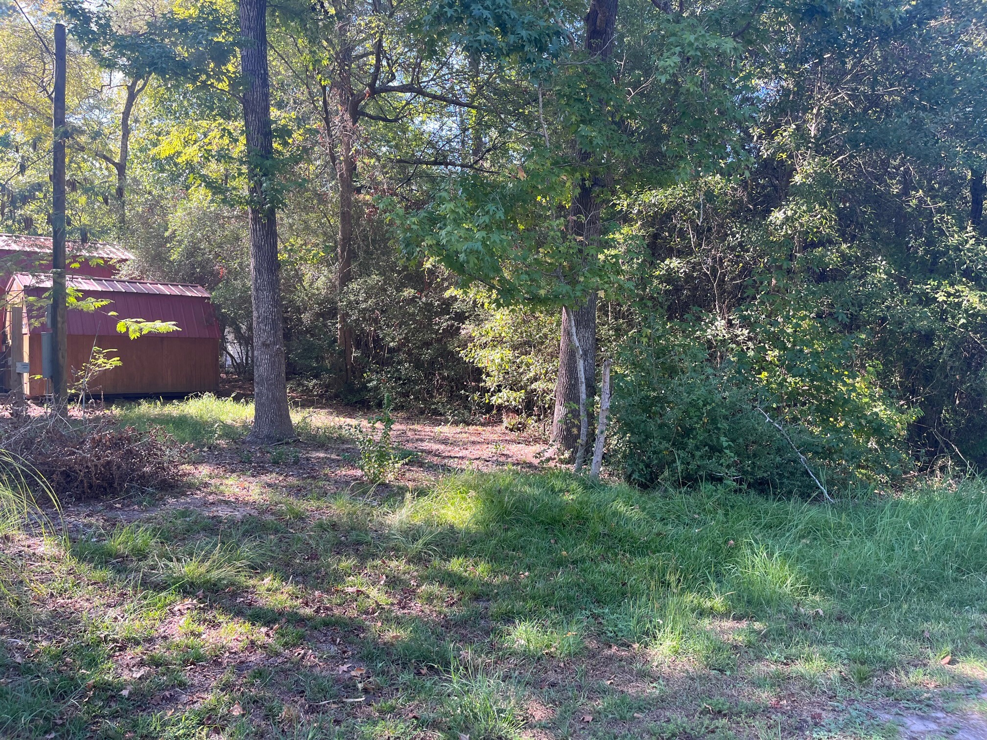 0 Impala Drive Onalaska, TX 77360 - Photo 2 of 6 a view of a trees