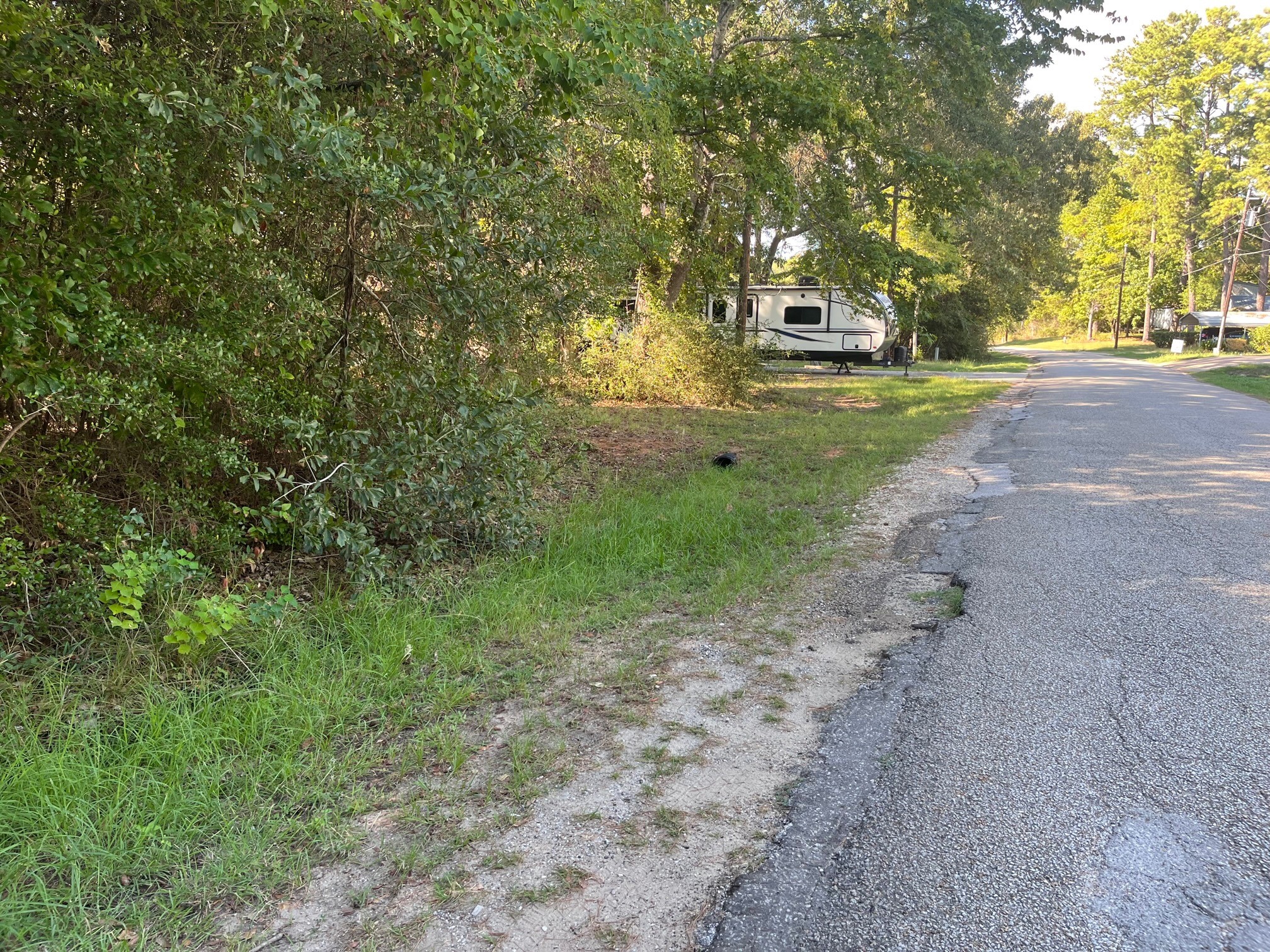 0 Impala Drive Onalaska, TX 77360 - Photo 3 of 6 a view of a yard with plants and trees