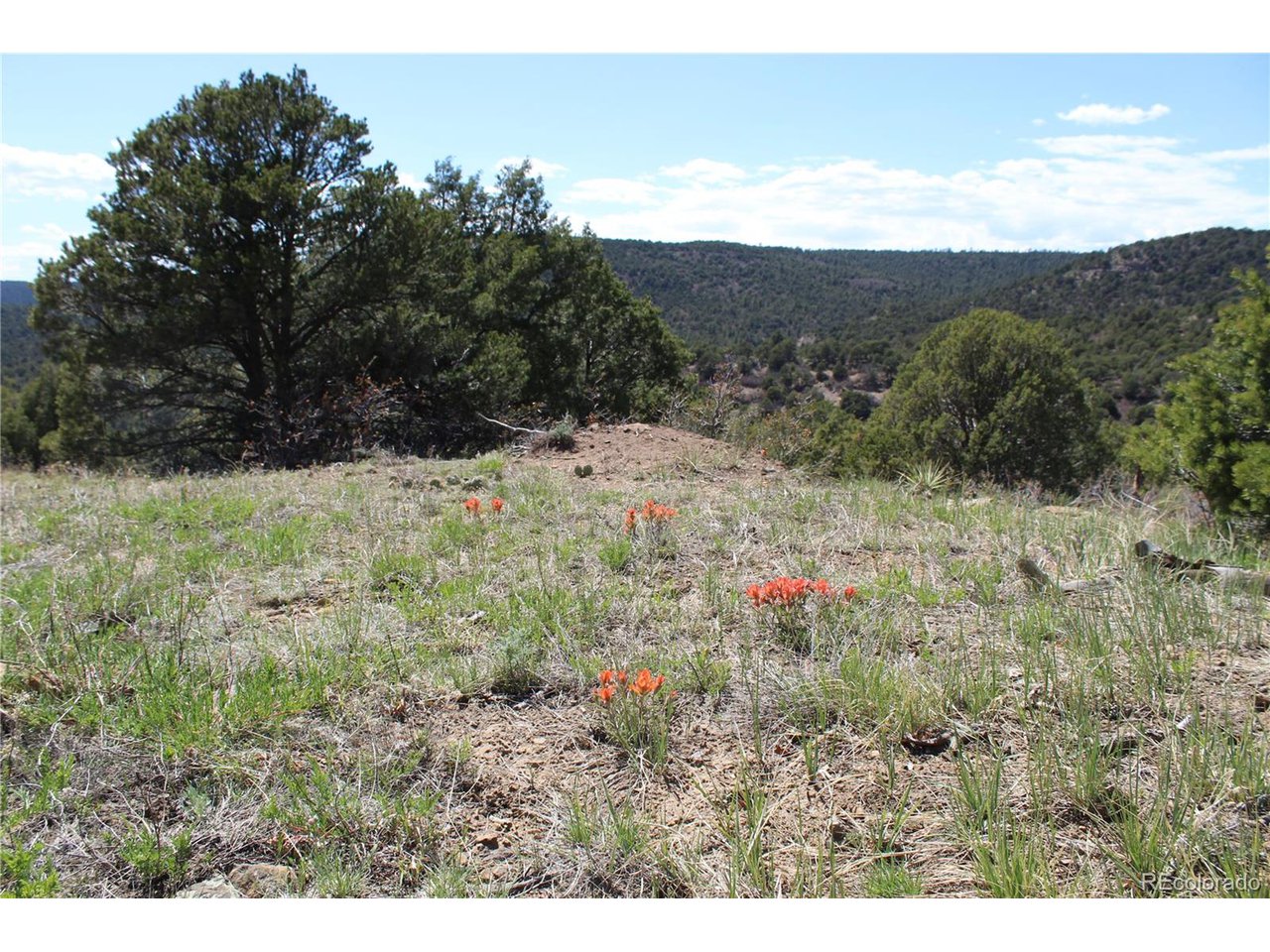 Picketwire Road Trinidad, CO 81082 - Photo 1 of 25 Gallery Image 1