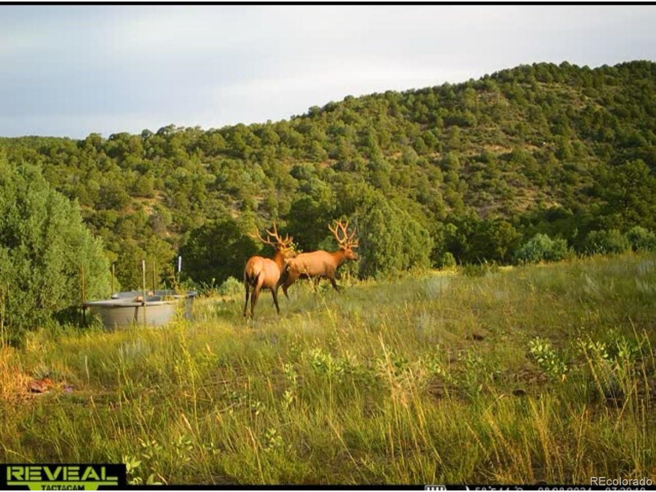 Picketwire Road Trinidad, CO 81082 - Photo 13 of 25 trail camera