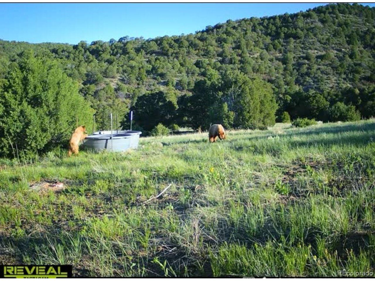 Picketwire Road Trinidad, CO 81082 - Photo 14 of 25 trail camera