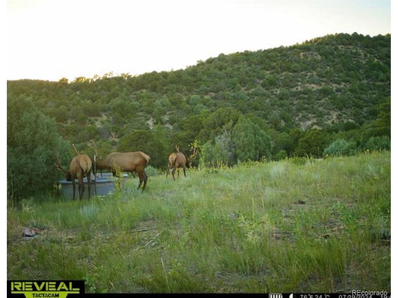 Picketwire Road Trinidad, CO 81082 - Photo 16 of 25 trail camera