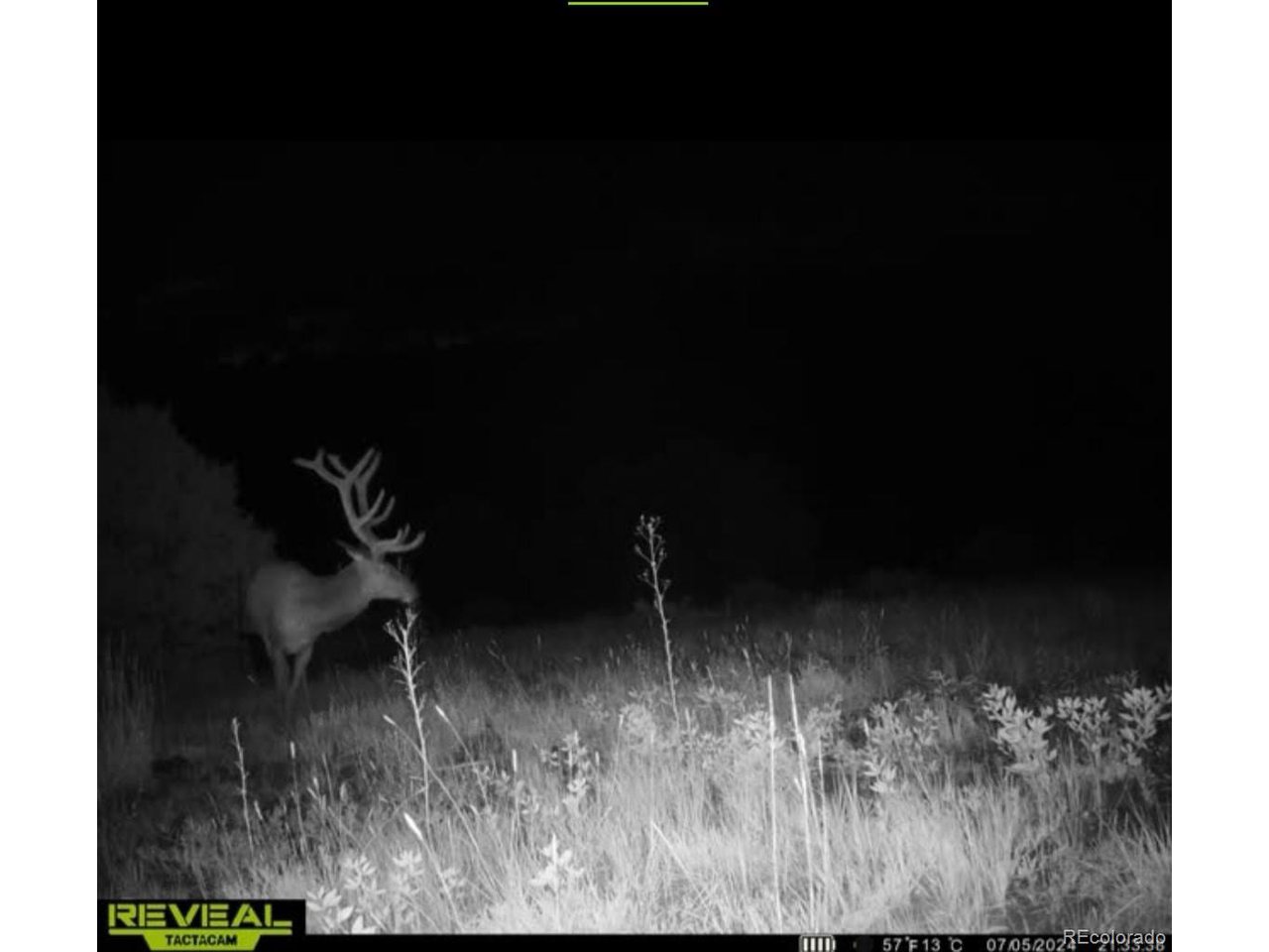 Picketwire Road Trinidad, CO 81082 - Photo 20 of 25 trail camera