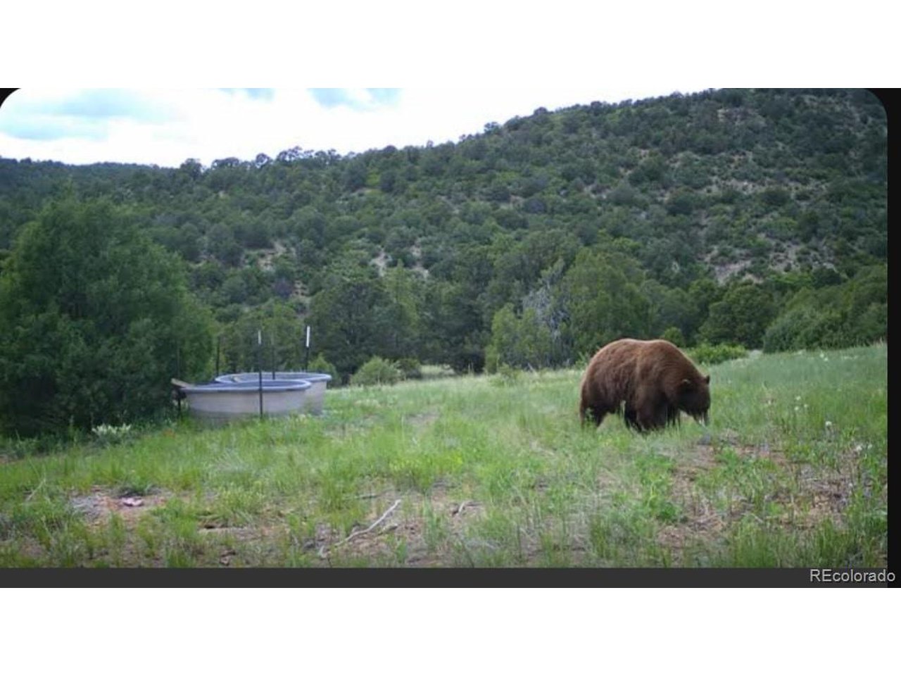 Picketwire Road Trinidad, CO 81082 - Photo 22 of 25 trail camera