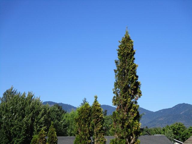 1600 West Harbeck Road Grants Pass, OR 97527 - Photo 33 of 34 IMG_0724