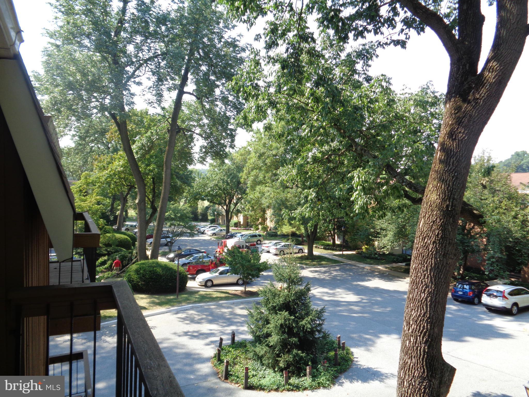 7 Cross Keys Road, Unit 7F Baltimore, MD 21210 - Photo 21 of 27 a view of yard