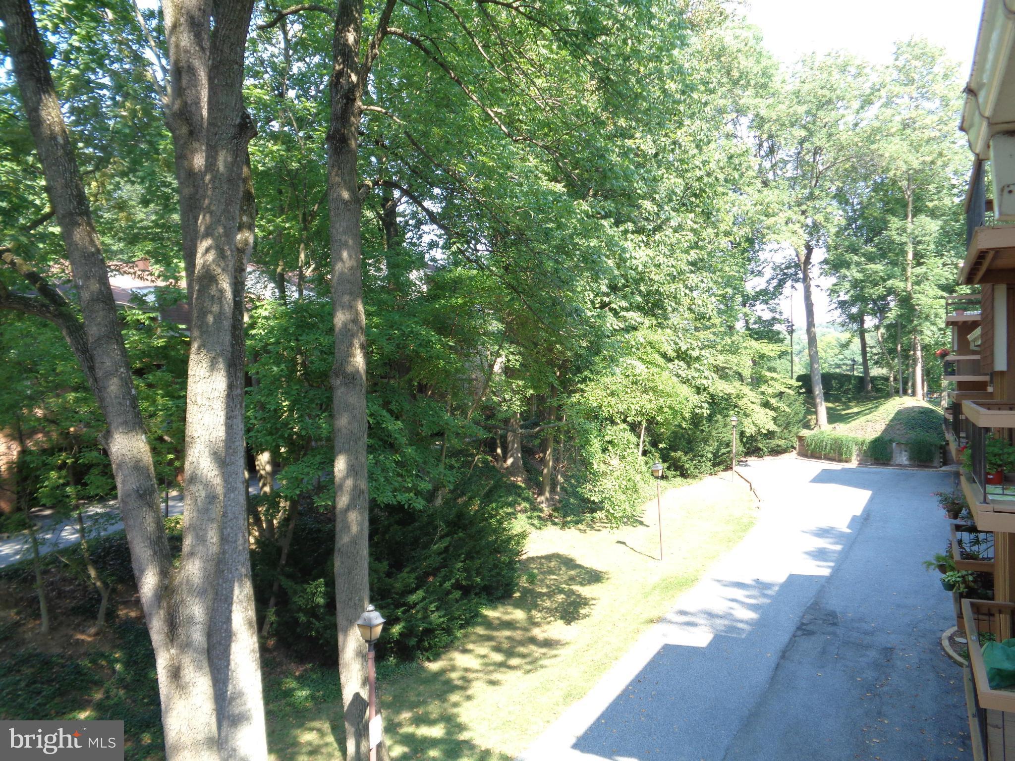 7 Cross Keys Road, Unit 7F Baltimore, MD 21210 - Photo 22 of 27 a view of a yard with plants and large trees