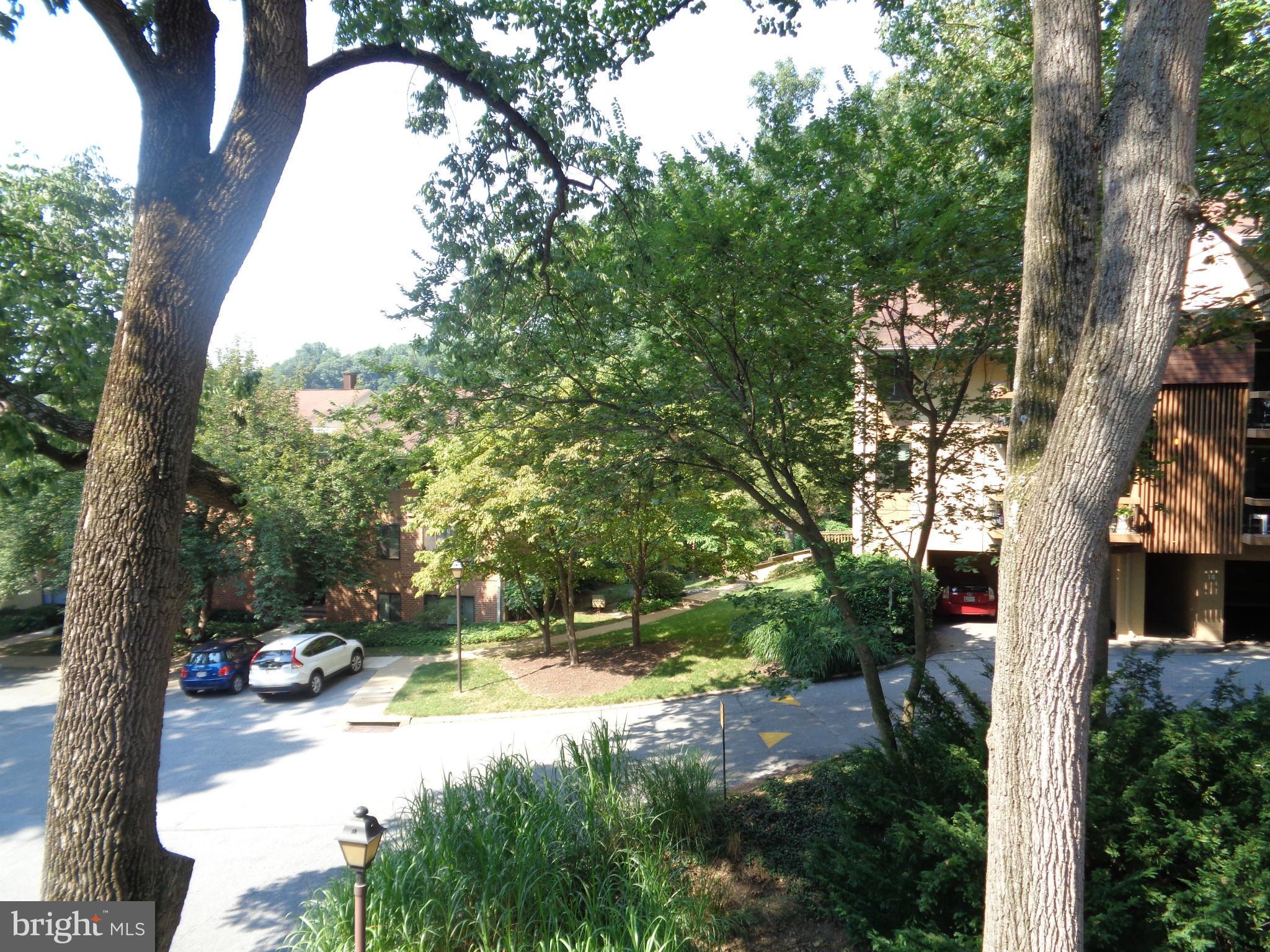 7 Cross Keys Road, Unit 7F Baltimore, MD 21210 - Photo 23 of 27 a view of backyard of house