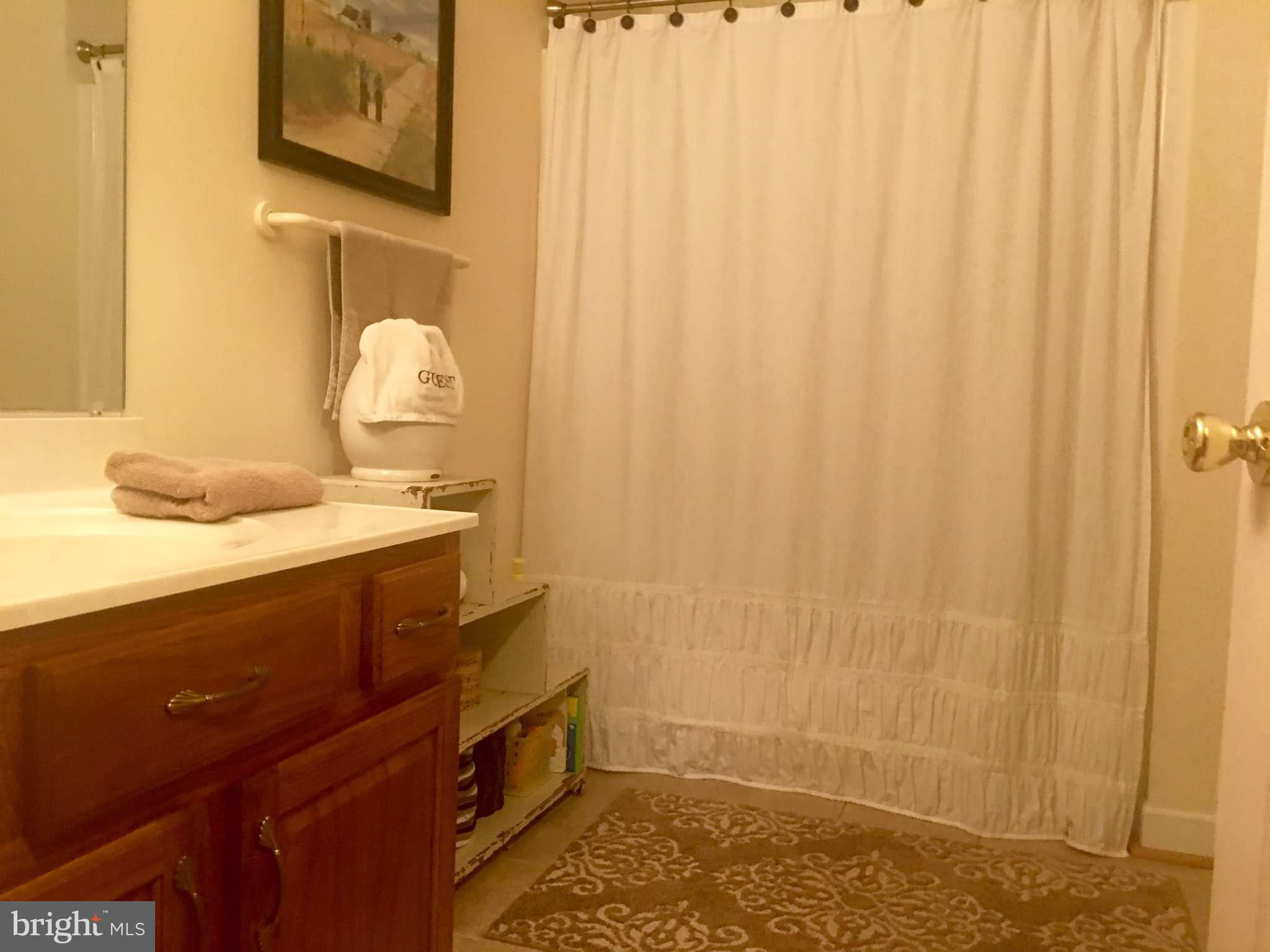 44099 Sandy Bottom Road Hollywood, MD 20636 - Photo 17 of 30 a bathroom with a sink and a mirror