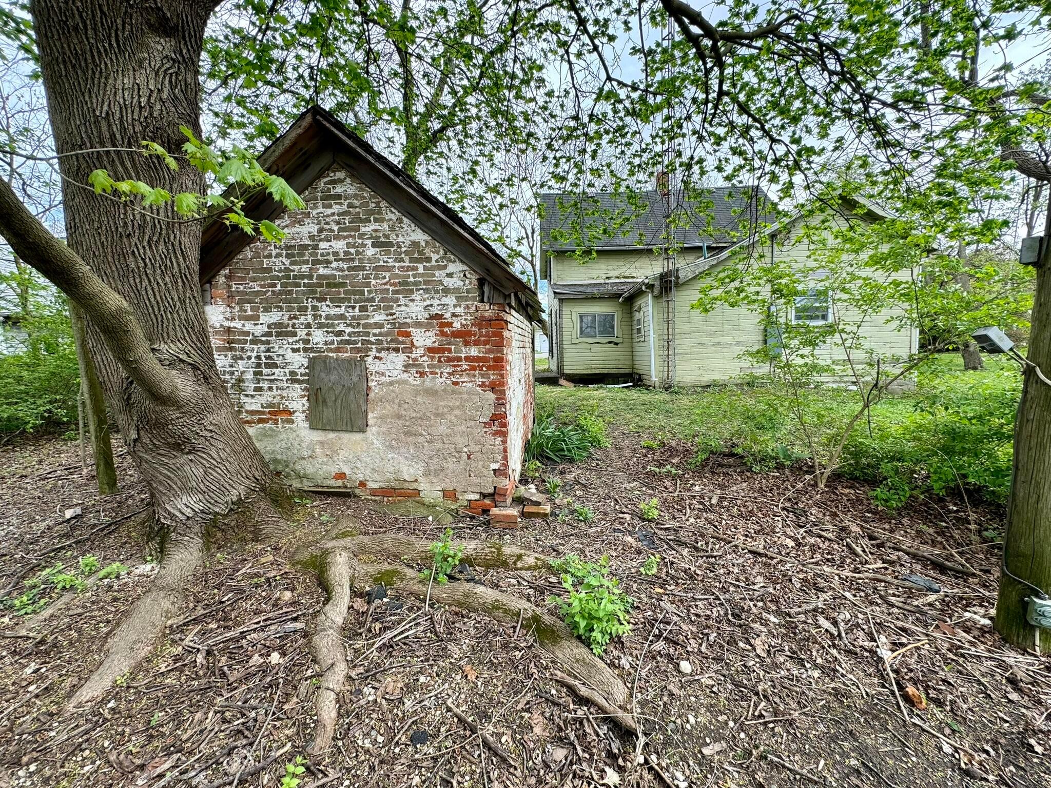 2190 Rosedale Road Irwin, OH 43029 - Photo 35 of 42 Nice big maple tree behind shed