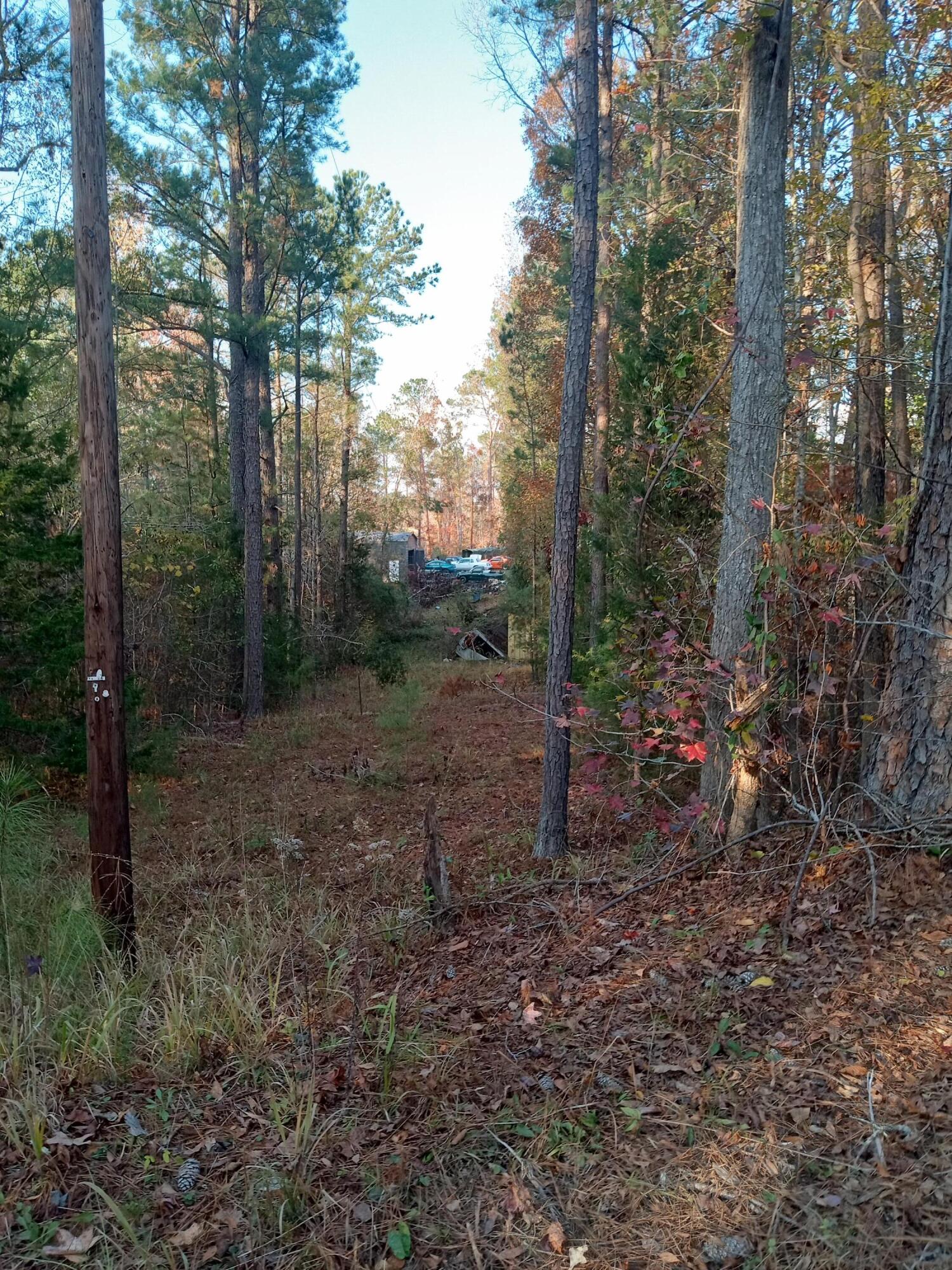2722 Highway 23 Modoc, SC 29838 - Photo 54 of 57