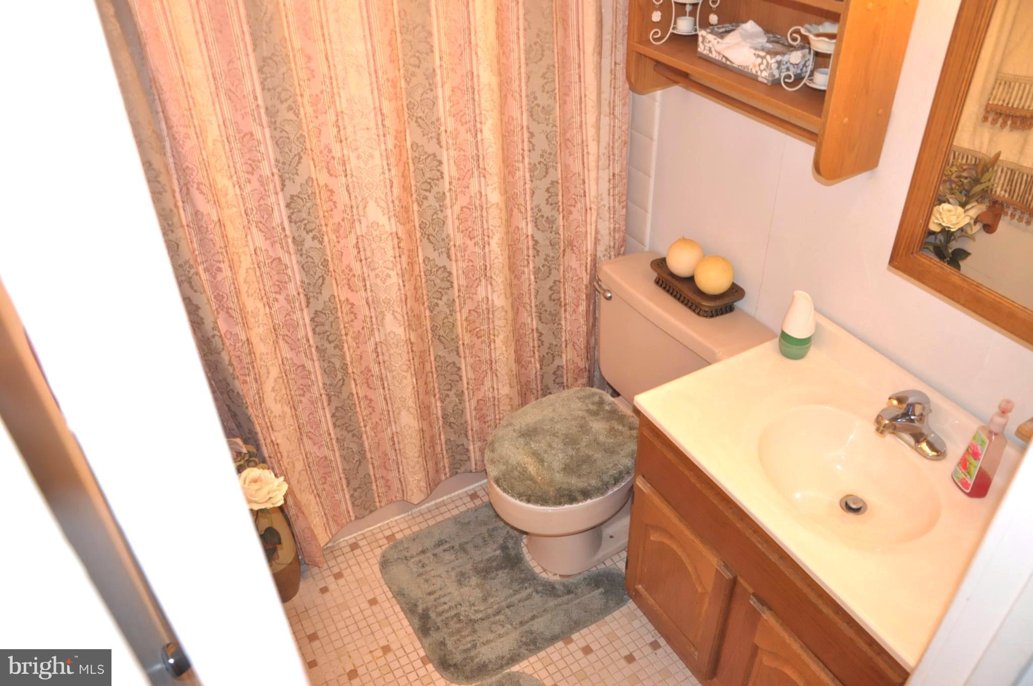 6662 Bucknell Road Bryans Road, MD 20616 - Photo 16 of 20 Basement in-law suite full bath