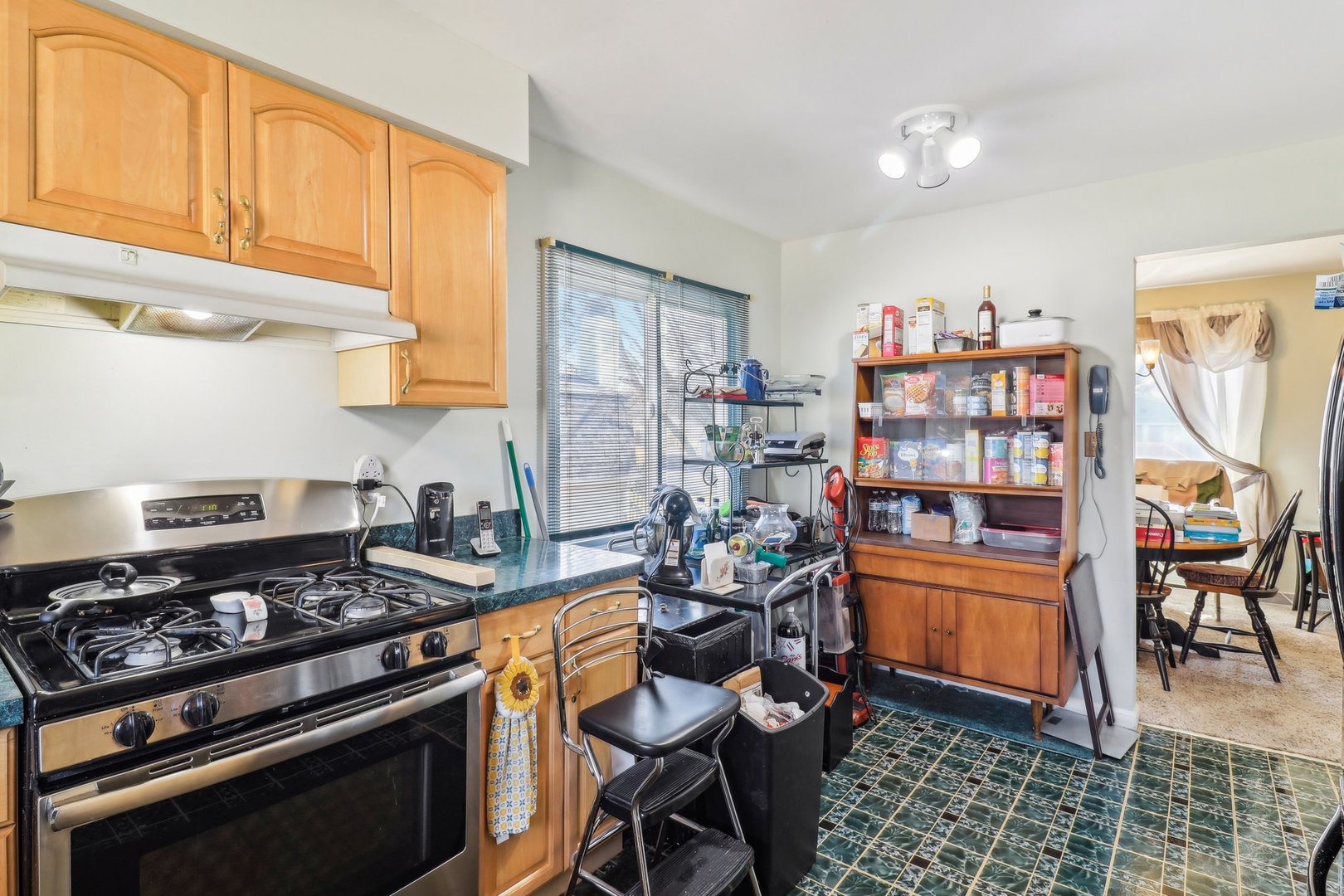 719 Manitou Street Cary, IL 60013 - Photo 10 of 33