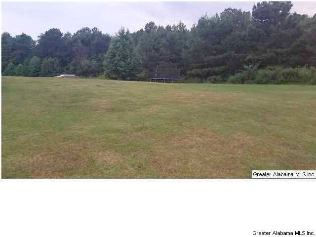 593 Ridgefield Way Odenville, AL 35120 - Photo 17 of 23