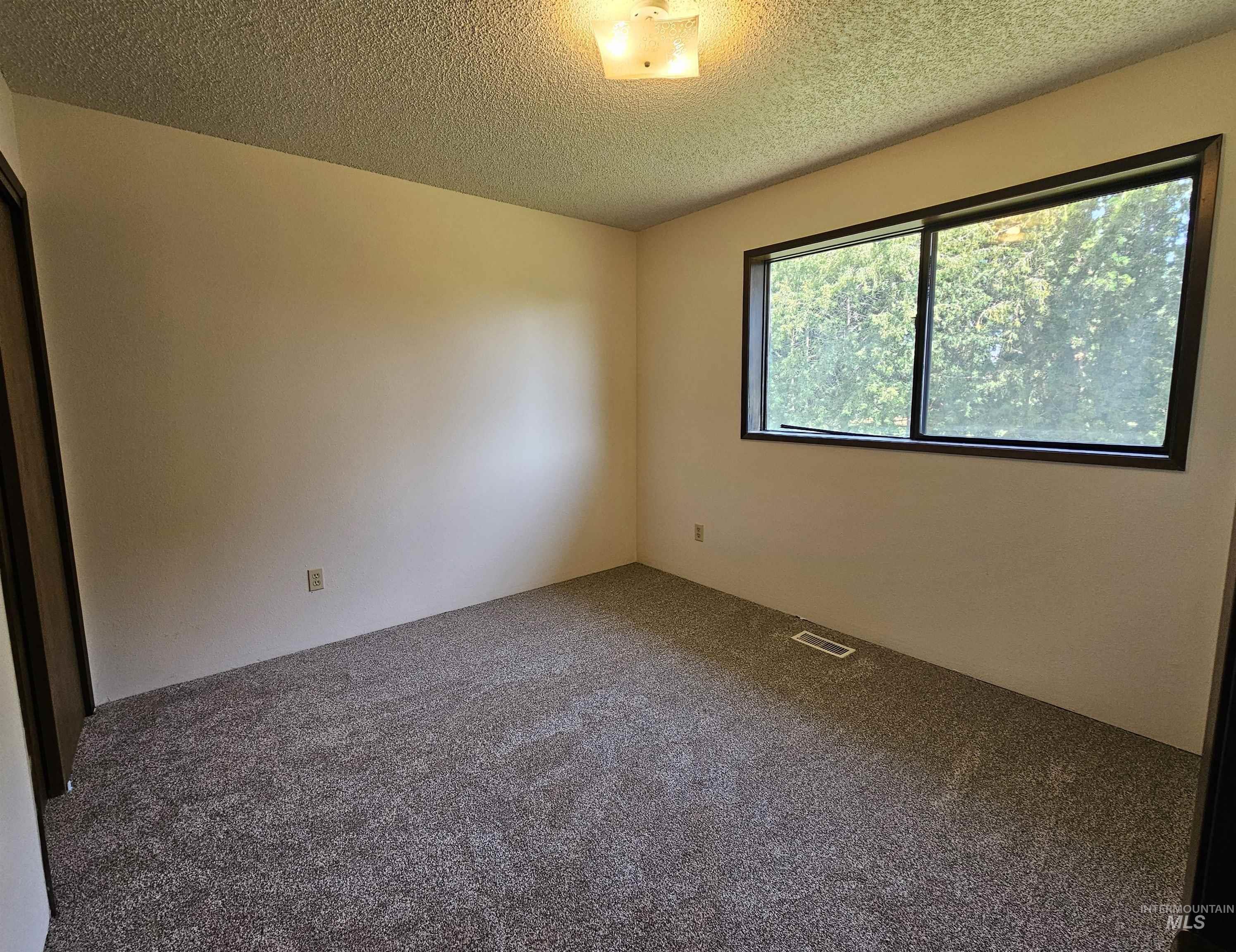 1825 Cedar Avenue Lewiston, ID 83501 - Photo 18 of 39 Spare room featuring carpet and a textured ceiling