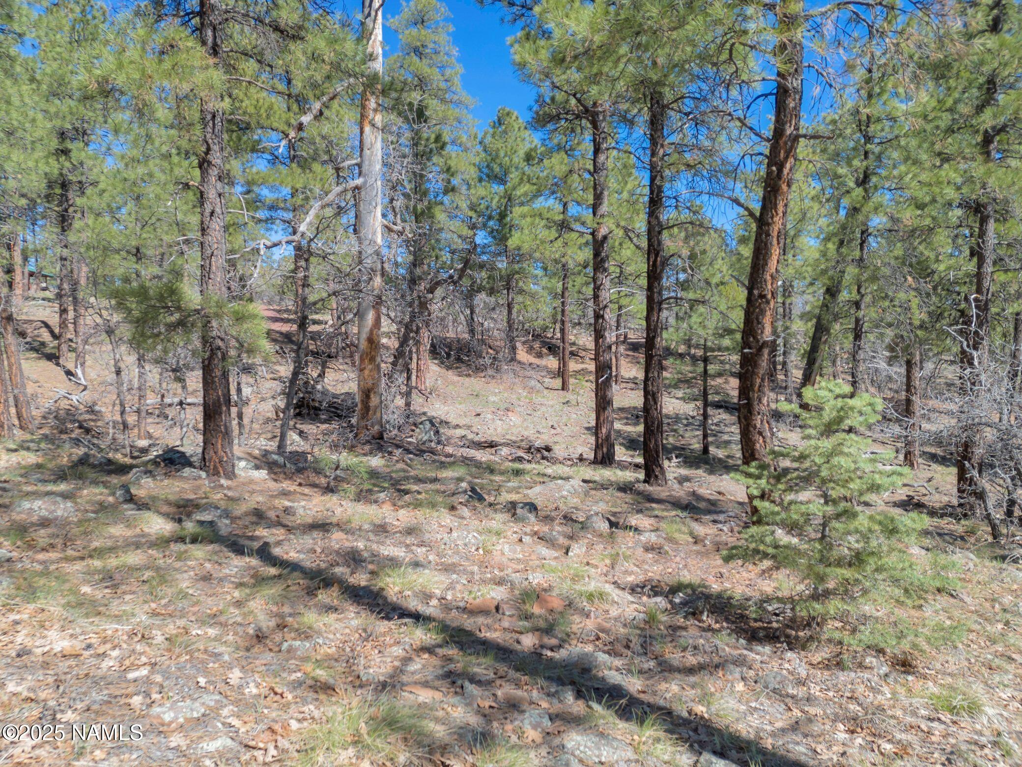 1642 Canyon View Loop Williams, AZ 86046 - Photo 11 of 41 a backyard of a house with lots of green space