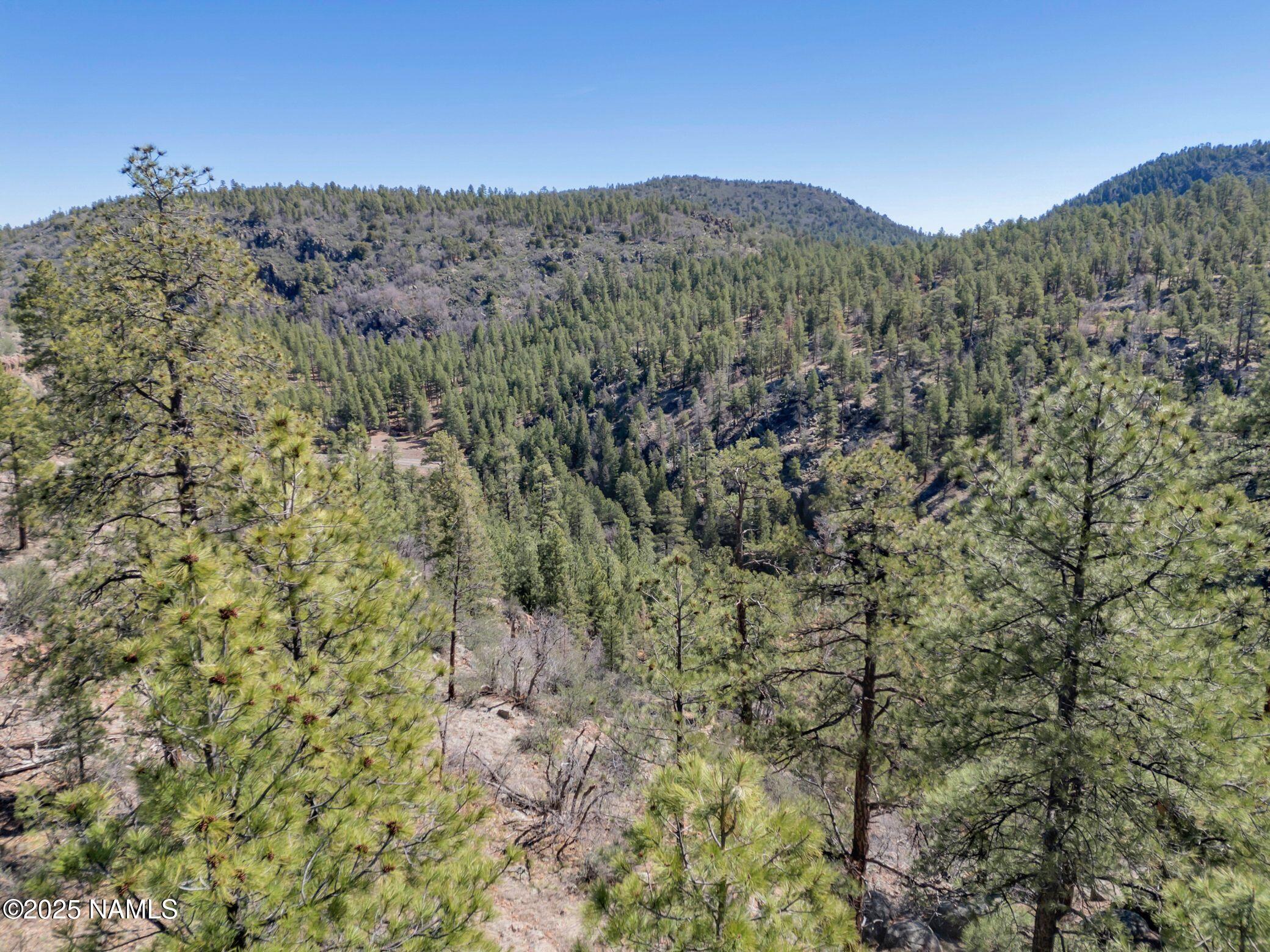 1642 Canyon View Loop Williams, AZ 86046 - Photo 13 of 41 a view of a dry yard with mountains in the background