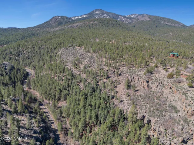 a view of a large mountain with trees in the background