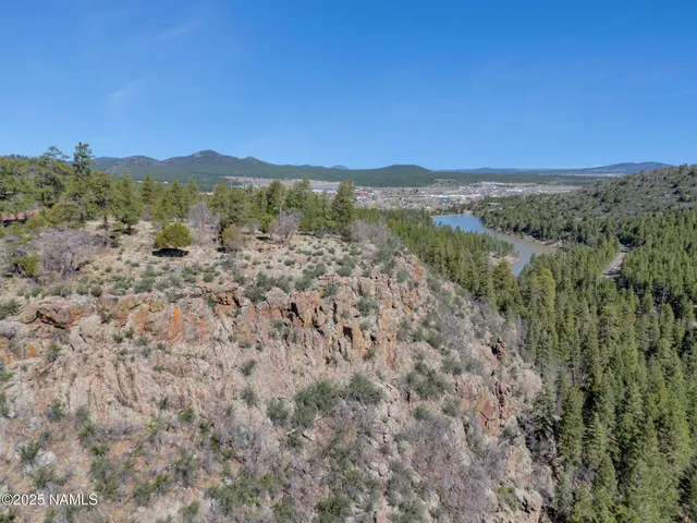a view of a forest with mountains in the background