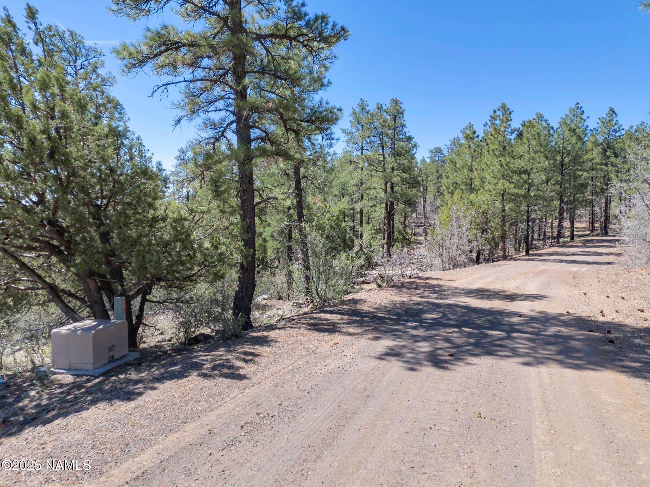 1642 Canyon View Loop Williams, AZ 86046 - Photo 19 of 41 a view of a yard with plants and trees