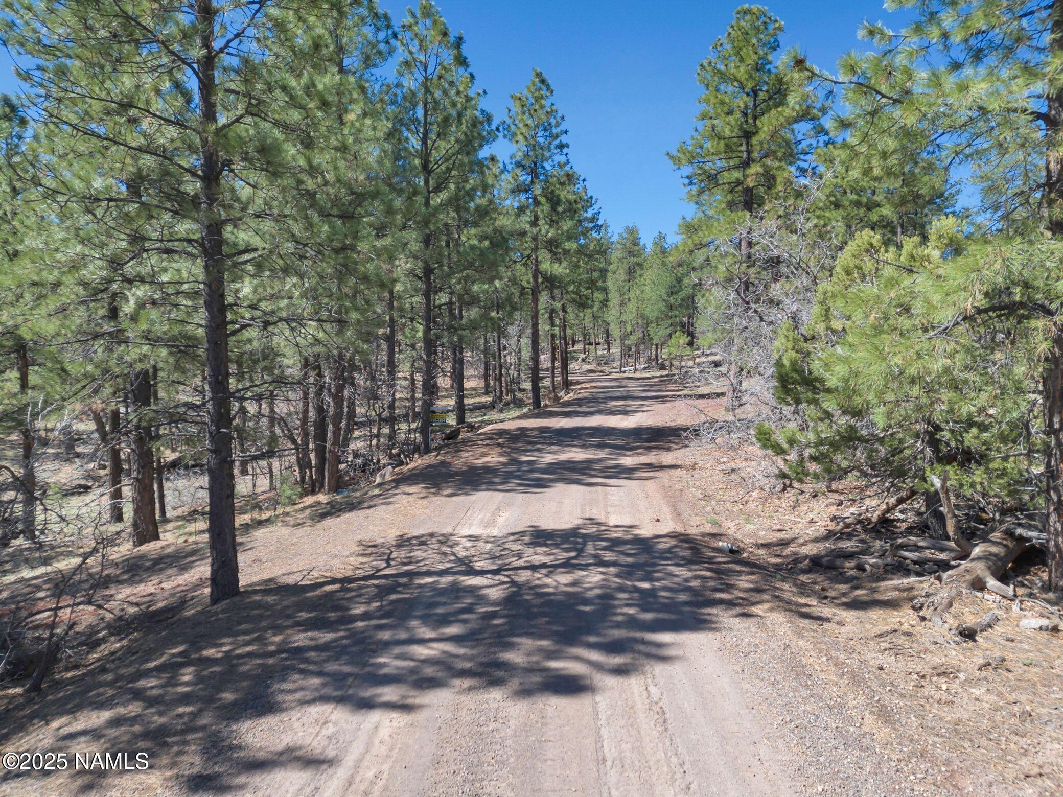 1642 Canyon View Loop Williams, AZ 86046 - Photo 20 of 41 a view of a yard with trees
