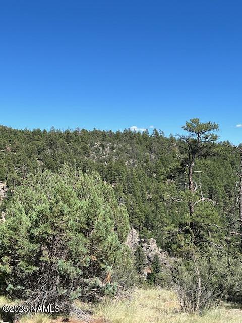 1642 Canyon View Loop Williams, AZ 86046 - Photo 2 of 41 a view of a city