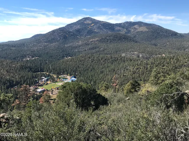 a view of a forest with mountains in the background