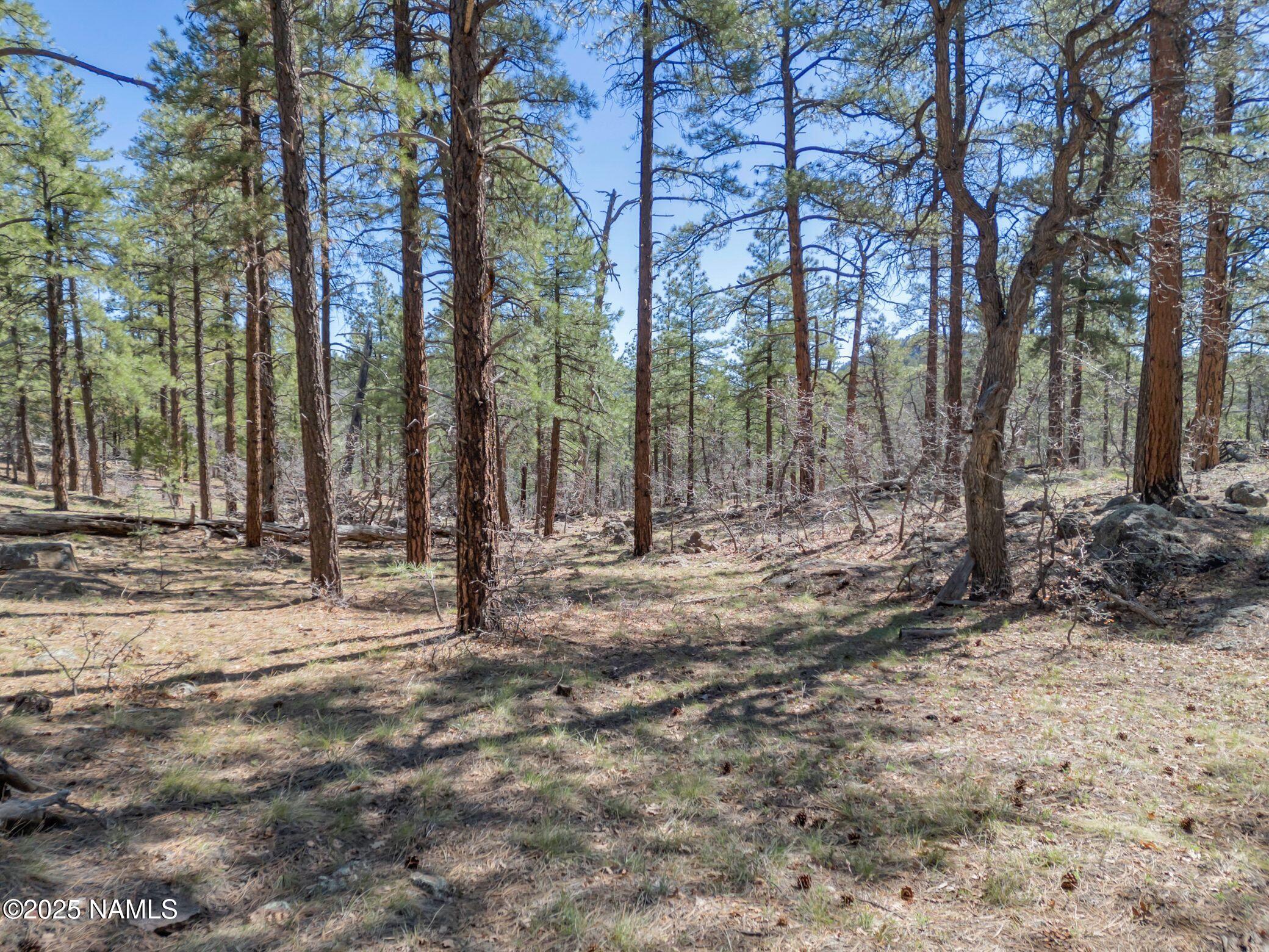 1642 Canyon View Loop Williams, AZ 86046 - Photo 3 of 41 a view of outdoor space with trees