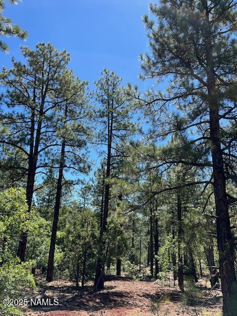 1642 Canyon View Loop Williams, AZ 86046 - Photo 32 of 41 a view of a yard with plants and trees