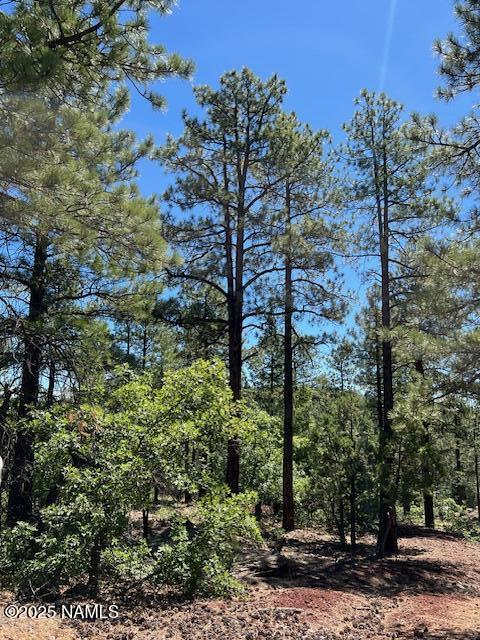 1642 Canyon View Loop Williams, AZ 86046 - Photo 33 of 41 a view of a forest with a tree