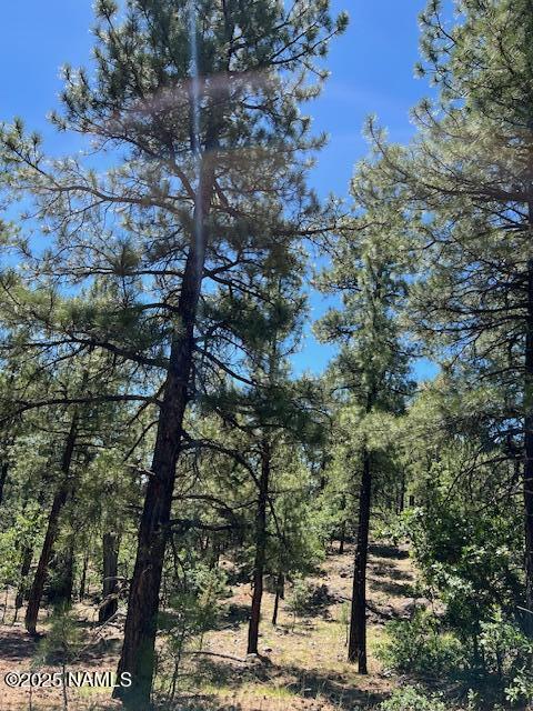 1642 Canyon View Loop Williams, AZ 86046 - Photo 34 of 41 a view of forest