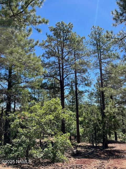 1642 Canyon View Loop Williams, AZ 86046 - Photo 35 of 41 a view of a forest with a tree