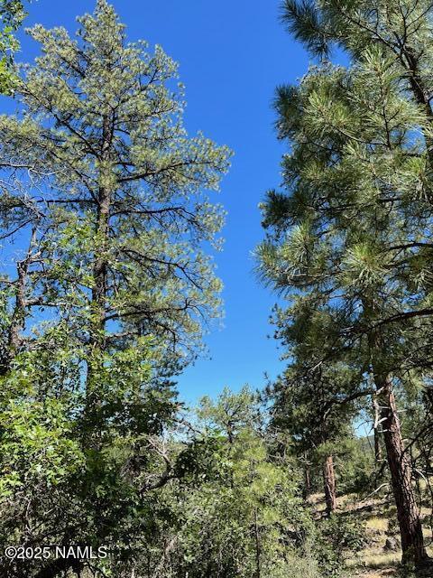 1642 Canyon View Loop Williams, AZ 86046 - Photo 37 of 41 a view of a tree