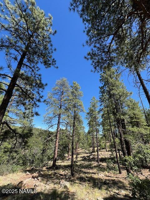 1642 Canyon View Loop Williams, AZ 86046 - Photo 38 of 41 a view of a yard
