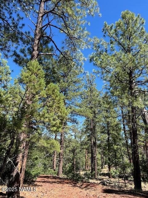 1642 Canyon View Loop Williams, AZ 86046 - Photo 39 of 41 a view of a city with flower plants