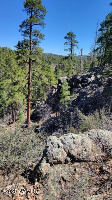 1642 Canyon View Loop Williams, AZ 86046 - Photo 40 of 41 a view of a garden with a tree