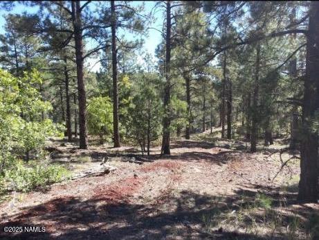 1642 Canyon View Loop Williams, AZ 86046 - Photo 41 of 41 a view of a tree with a yard