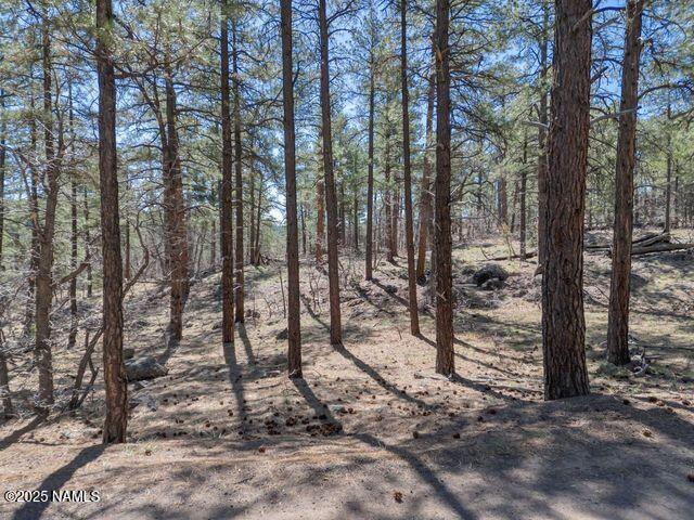 1642 Canyon View Loop Williams, AZ 86046 - Photo 6 of 41 a view of outdoor space with lots of trees