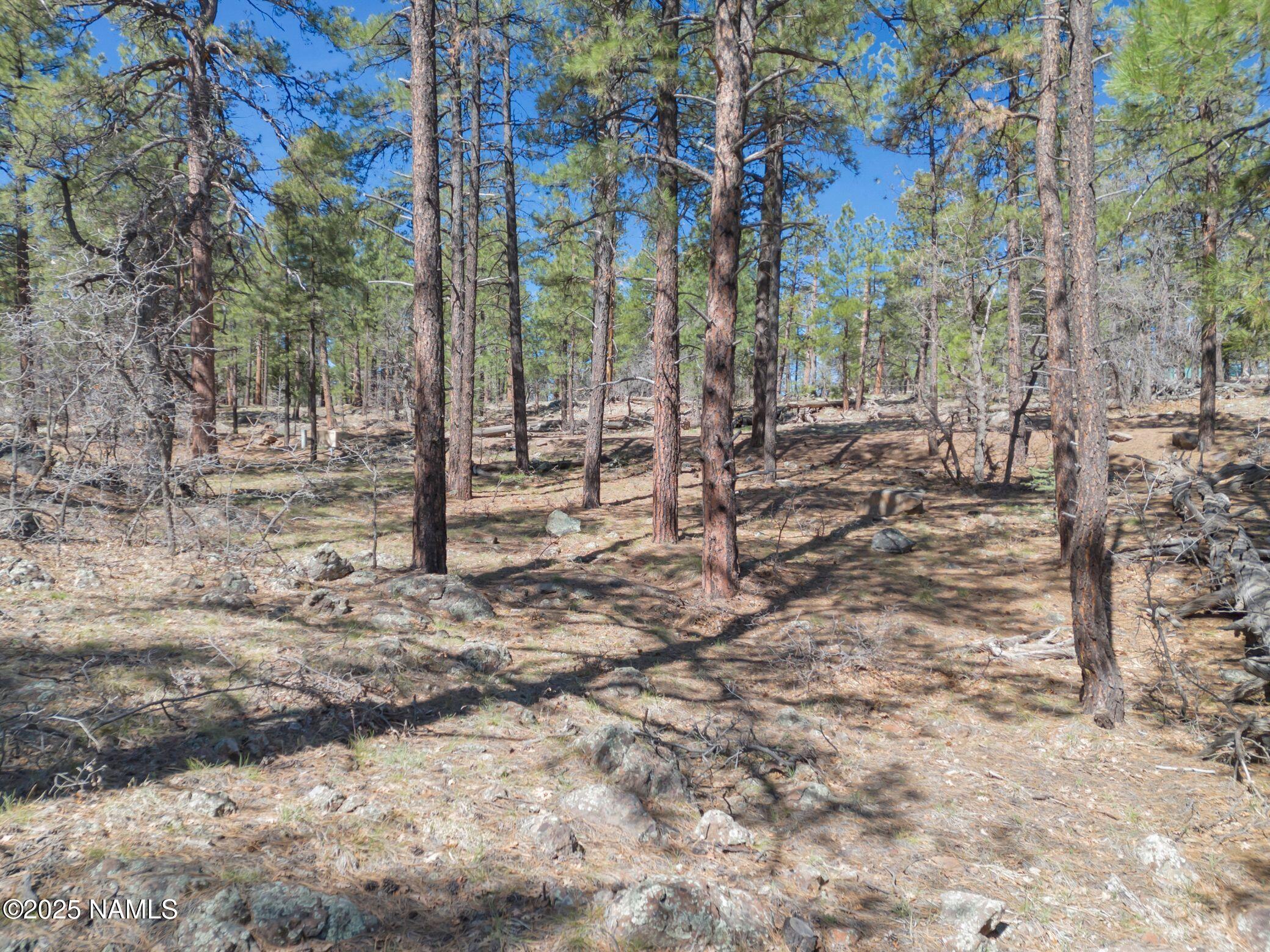 1642 Canyon View Loop Williams, AZ 86046 - Photo 8 of 41 a view of a yard with trees