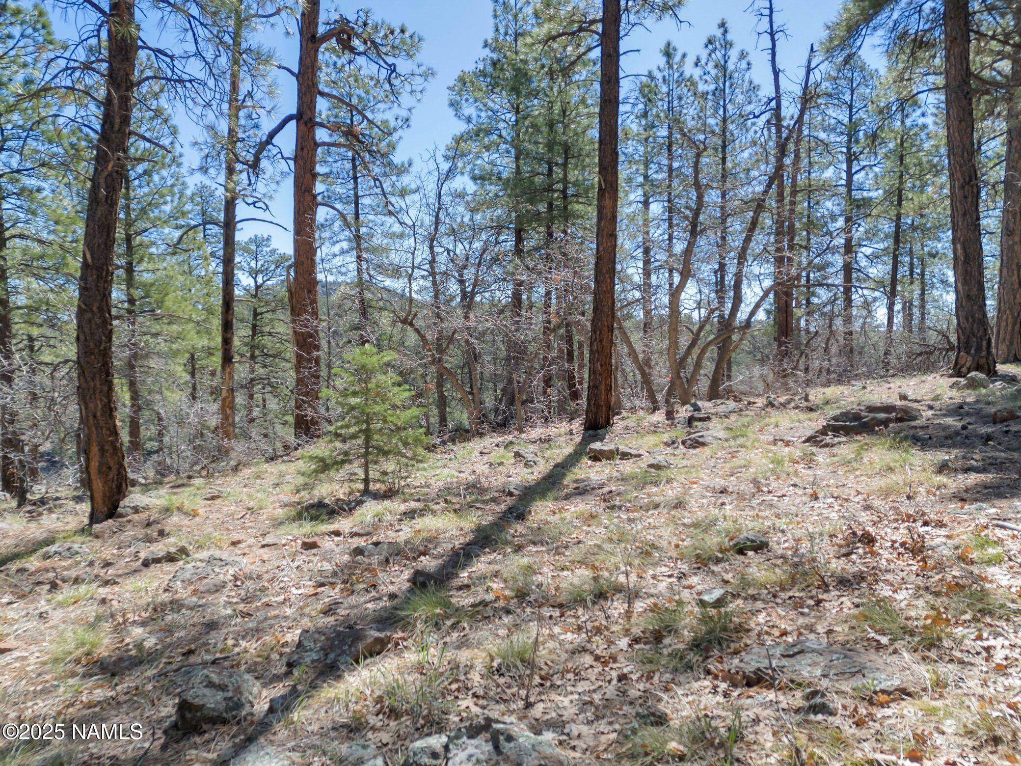 1642 Canyon View Loop Williams, AZ 86046 - Photo 9 of 41 a view of house covered with trees