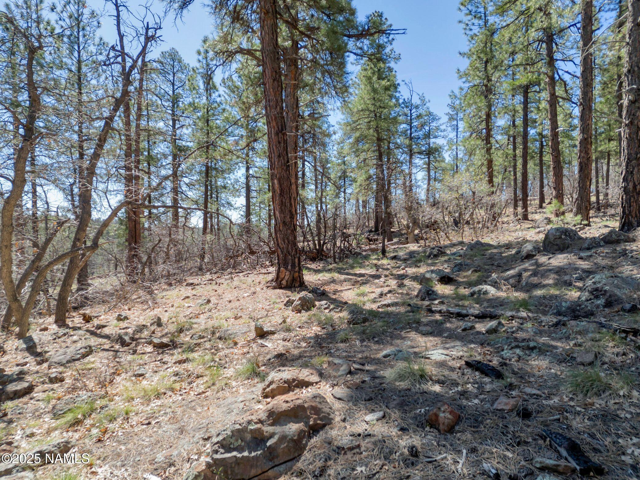 1642 Canyon View Loop Williams, AZ 86046 - Photo 10 of 41 a view of outdoor space with trees