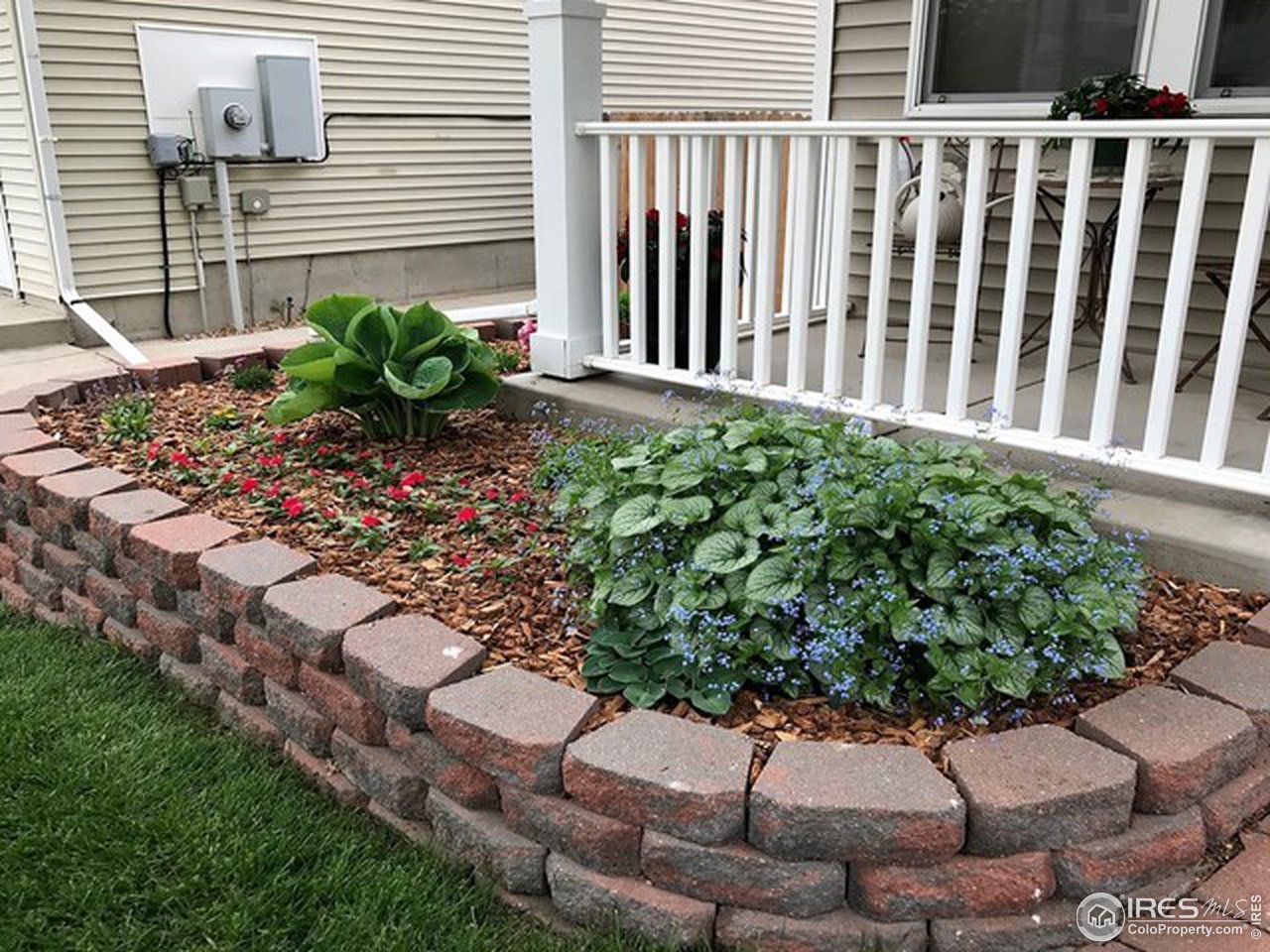 1349 Trail Ridge Road Longmont, CO 80504 - Photo 32 of 33 Welcoming raised planter bed in front