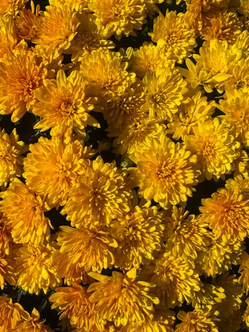 $379,000 | 6749 Walden Circle, Tallahassee, FL 32317