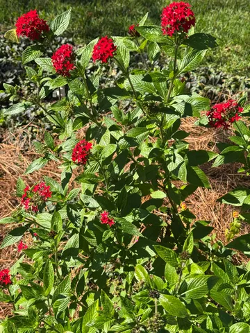 $379,000 | 6749 Walden Circle, Tallahassee, FL 32317