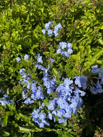 $379,000 | 6749 Walden Circle, Tallahassee, FL 32317