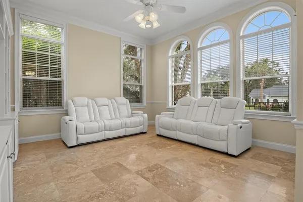 a living room with furniture and a potted plant