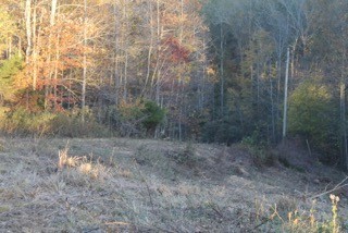 154 Baptist Branch Road Mount Pleasant, TN 38474 - Photo 1 of 22 Gallery Image 1